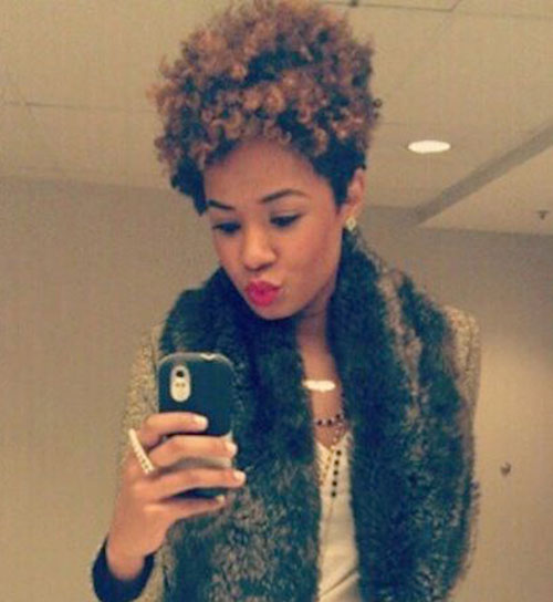 Short Afro Hairstyles for Black Women