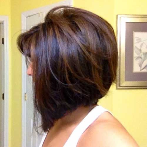 Dark Brown Hair with Light Brown Highlights