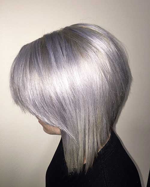 Short Grey Hair - 31