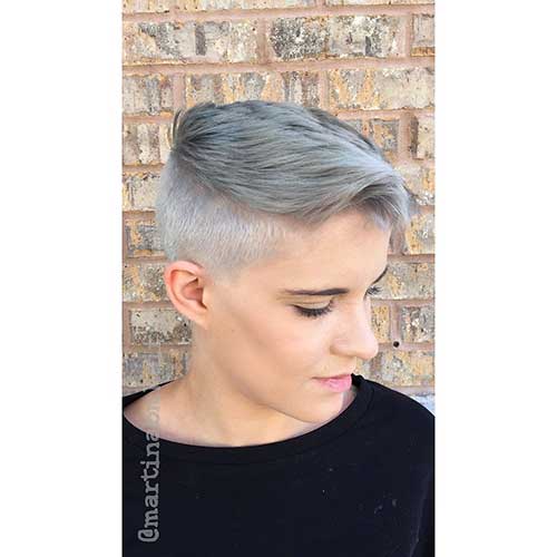 Short Silver Hair - 9